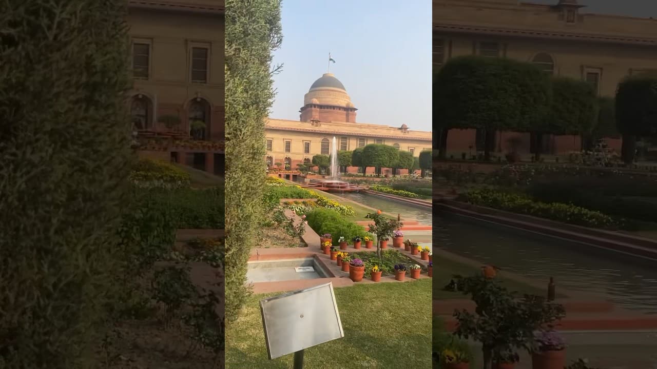 Amrit Udyaan 2024 #rastrapatibhawan #amritudyan #delhi #trending #shorts #youtubeshorts #subscribe