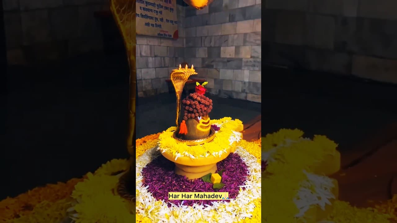 Har Har Mahadev🙏🏼 #subscribe #shiv #shivstatus #shorts #bhakti #mahadev #travel #youtubeshorts