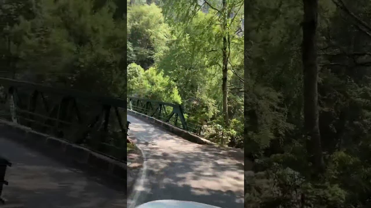 Beautiful Roads To Chopta, Uttarakhand #ytshorts #shorts #trending #uttarakhand