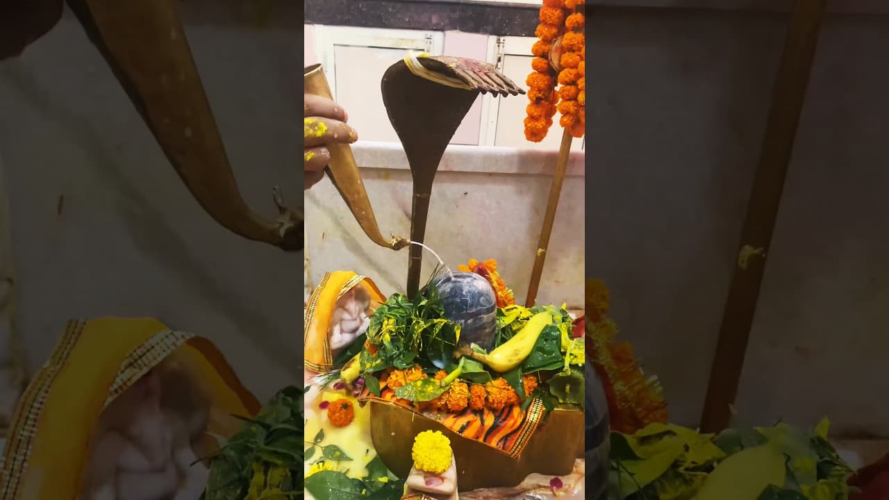 Rudraabhishek🙏🏼 #subscribe #shorts #shiv #mahadev #bholenath #shivstatus #bhakti #youtubeshorts