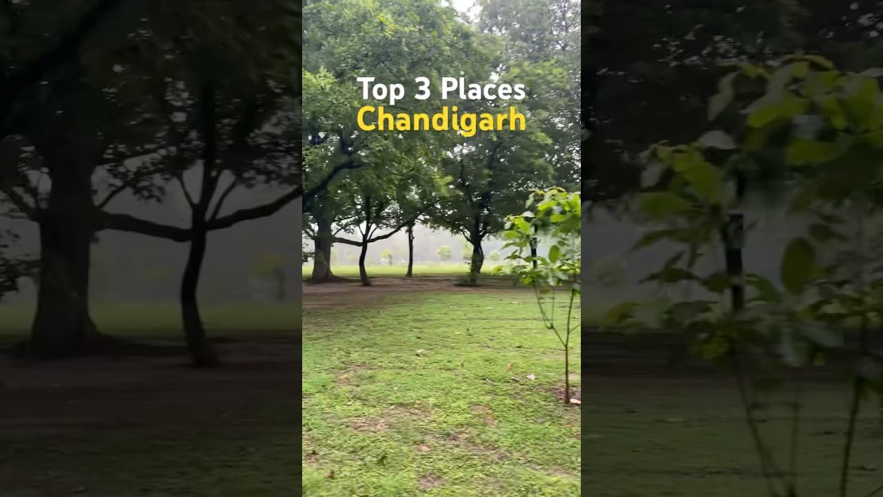 Chandigarh🤩#subscribe #touristplace #travel #shorts #ram #youtubeshorts #viral #weekendgetaway