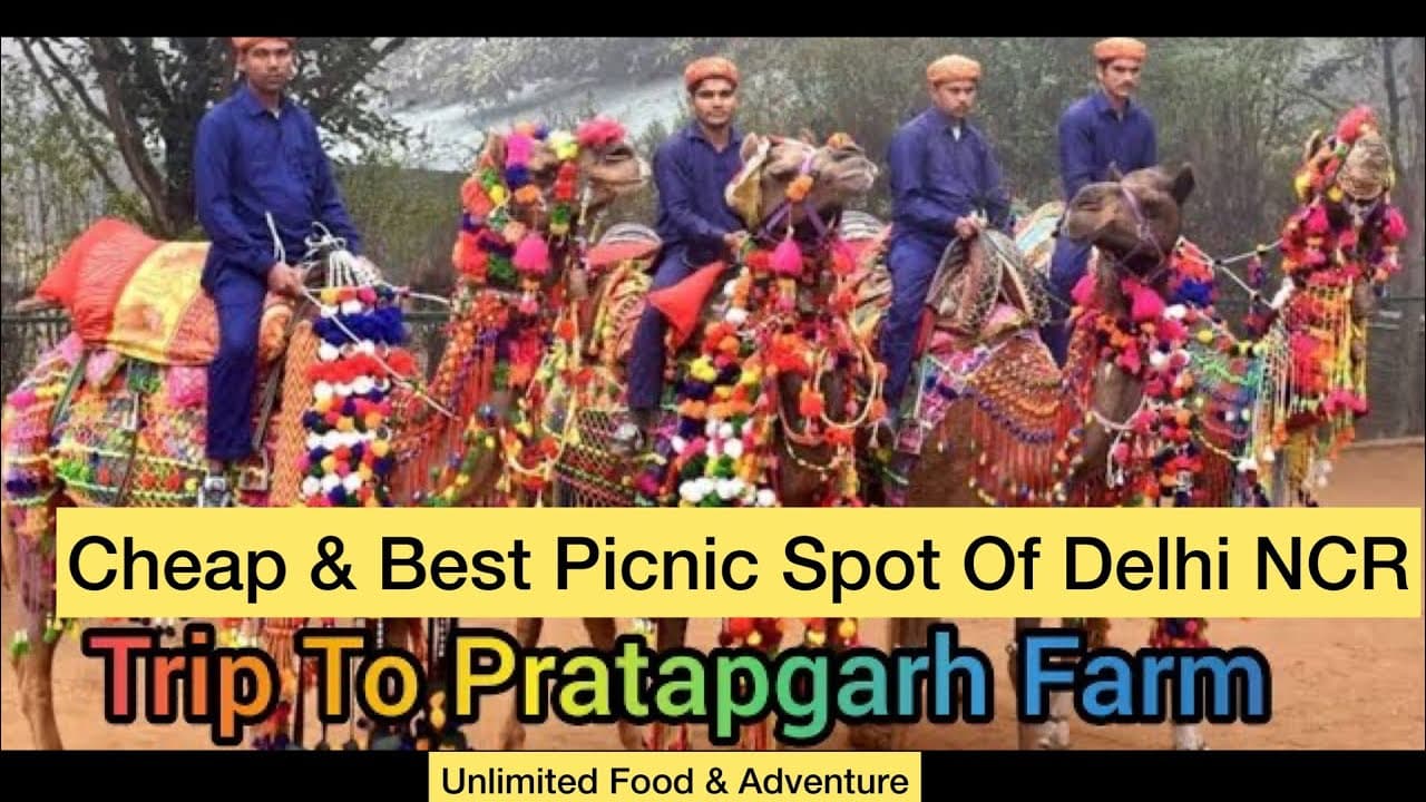 Best & Cheap Picnic Spot For Family। Pratapgarh Farms Jhajjar। One Day Trip। Full Details।Delhi NCR