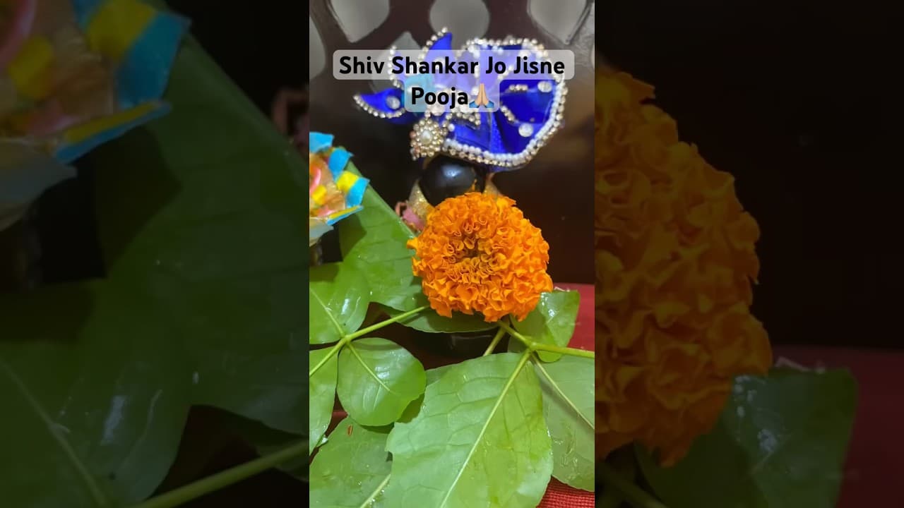 Shiv Ki Pooja Kyun?#shiv #bholenath #shorts #ram #youtubeshorts #trending #masti #subscribe