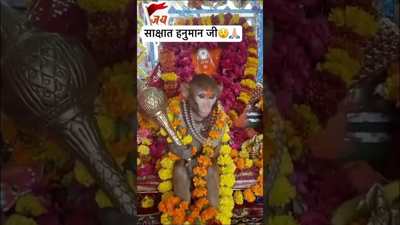 Jai Hanuman 🙏🏼#hanuman #ram #subscribe #shorts #hanumanchalisa #youtubeshorts