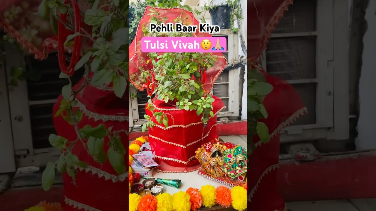 Tulsi Maiya🙏🏼 #subscribe #shorts #tulsi #bhakti #youtubeshorts #kartikpoornima #travel #ram