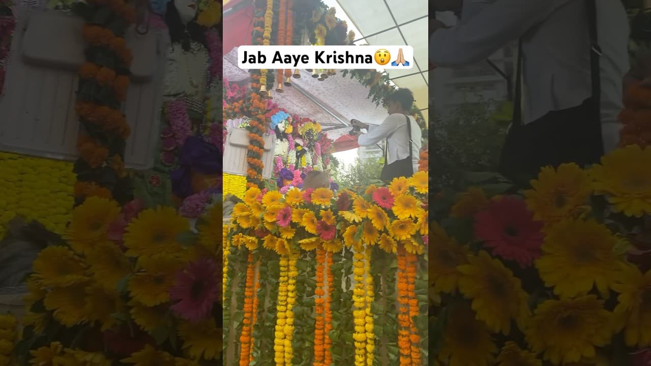 Rath Yatra 2025 #rathyatra #krishna #subscribe #shorts #travel #haribol #trending #youtubeshorts
